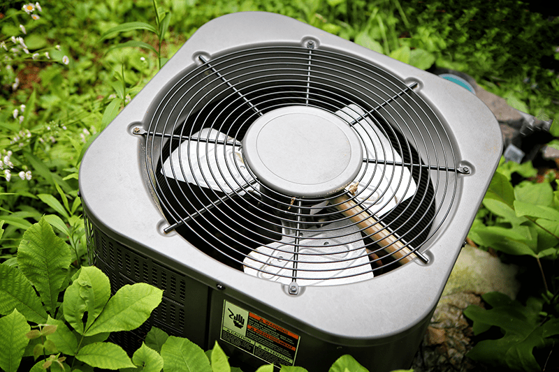 An AC unit surrounded by plants
