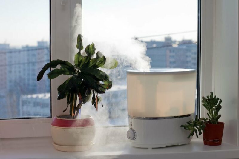 5 Ways to Improve Your Indoor Air Quality. Image shows plant and small humidifier on windowsill.